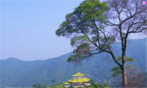一招聘大全