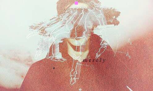 二履职工作总结怎么写