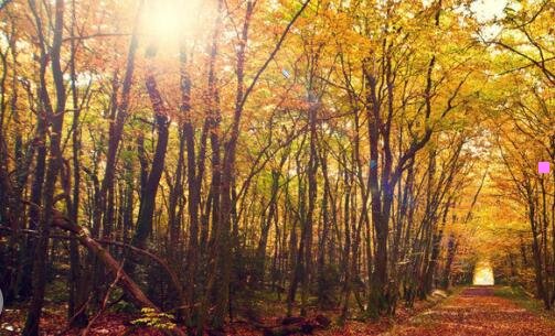一武汉体育学院体育科技学院