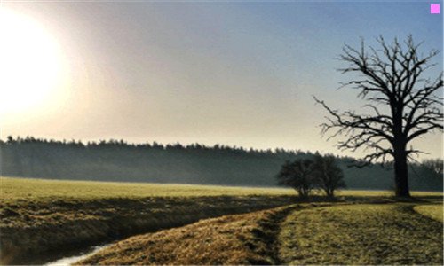 二中国十大不公开事件