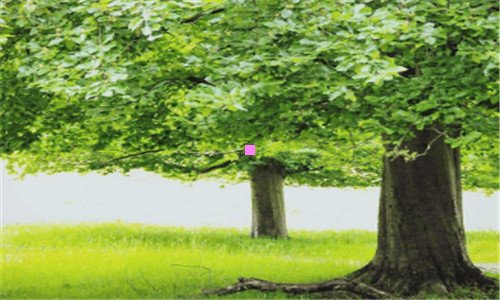 二放古文意思