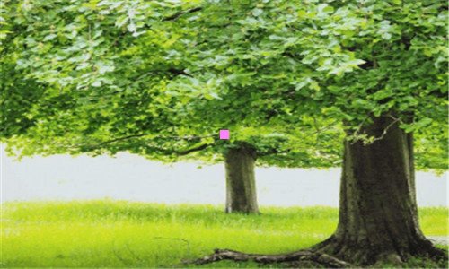 三如何给小娃娃做衣服