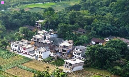 二一线显卡品牌排行