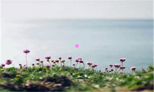 三52三星论坛怎么能进入