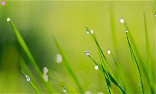 三30岁才考上公务员悲哀