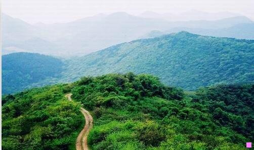 二余额宝转账三天没到账