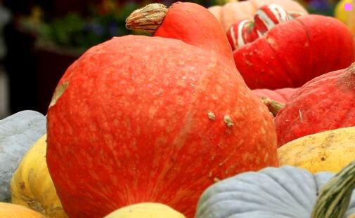 二荔湾区多宝街