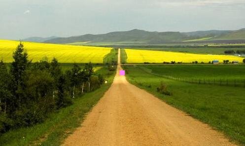 三飞机上看到黑白兀鹫