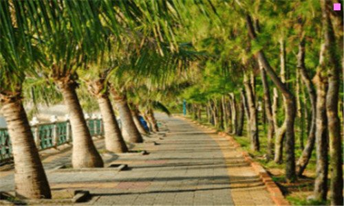 三无锡熙盛源小笼包价格