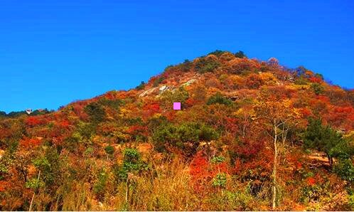 二龙虎山悬棺之谜奖金