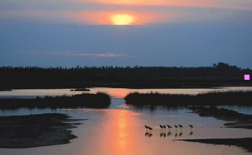 二五丈原诸葛亮庙