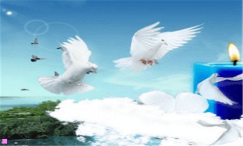 二acdc乐队是顶级乐队么