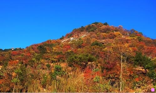 一通化在东北啥水平