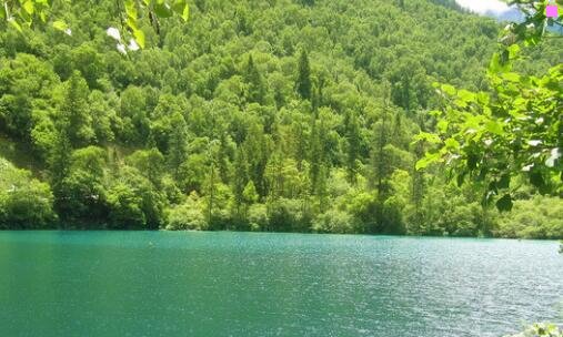 三少儿歌曲让我们荡起双桨