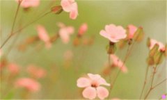 吉荣空调-揭阳吉荣空调董事长