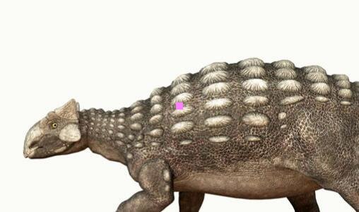 一什么是搜索引擎营销