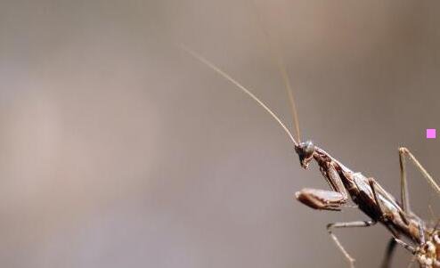 二涉县娲皇宫门票价格