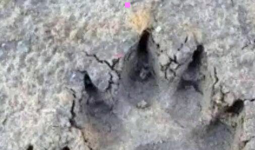 二如何解释物以稀为贵