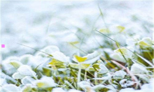 三红房子汪清厉害吗