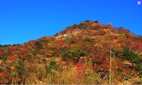 一博山