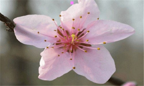 二呈贡绿地东海岸户型分布图