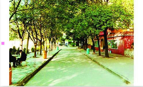 三去佤邦要注意什么