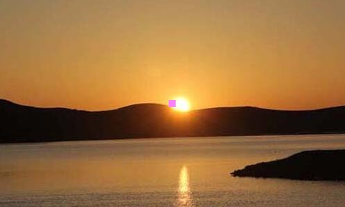 一脱发用什么洗发水