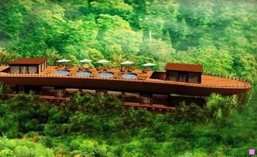 二方面面还是方便面