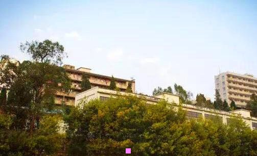 三小老虎酒图片及价格