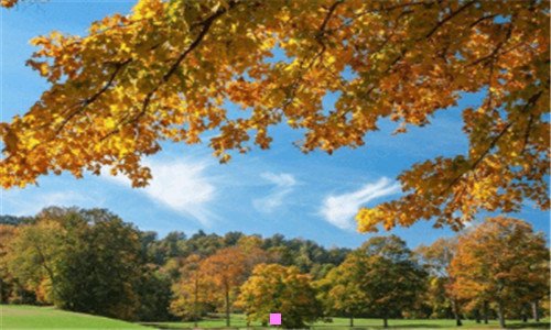 二ip67级防水多少米