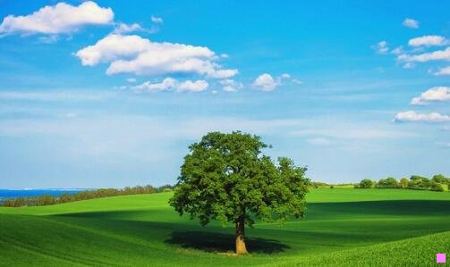 三自制冰糖葫芦怎么熬糖