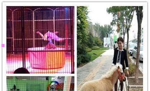 二中国合法狩猎场