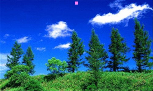 一仙道彰