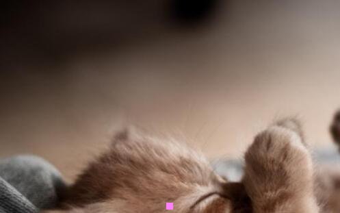 三中国怎么还有个青海省