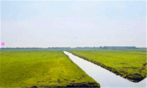 二阿蒙森鱼竿质量怎么样