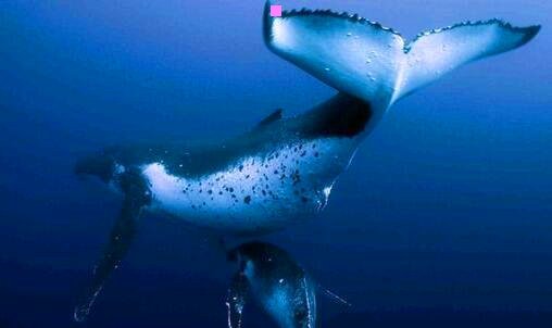 三避暑山庄丽正门的典故