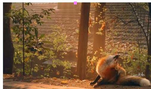 二多哈与迪拜哪个好