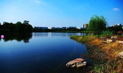 三法国adopt什么档次