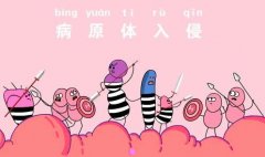考公务员难吗-公务员面试太难了