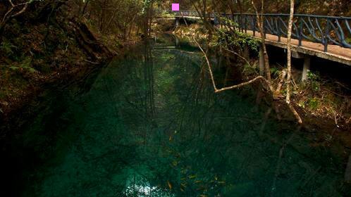 二山西蒲县最新消息