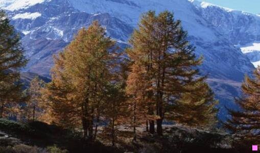 三长沙2020规划高清图