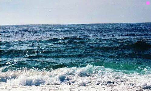 三众信旅游和中国国旅哪个好