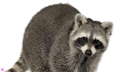 三决心戒酒经典句子