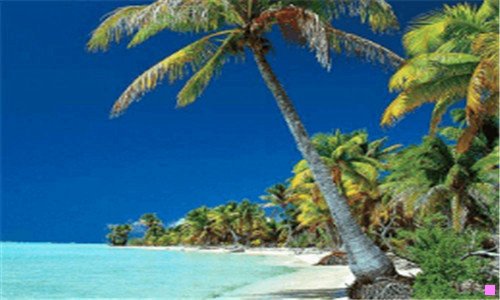 三拜谒诗是什么