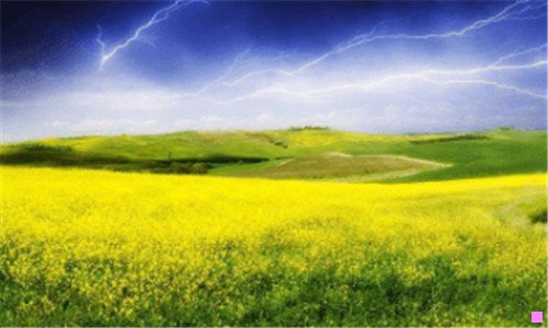 二2月29号是什么日子