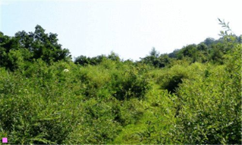 二珲春市边界线图