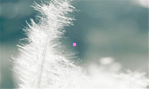 二杀青by天下溪网上阅读