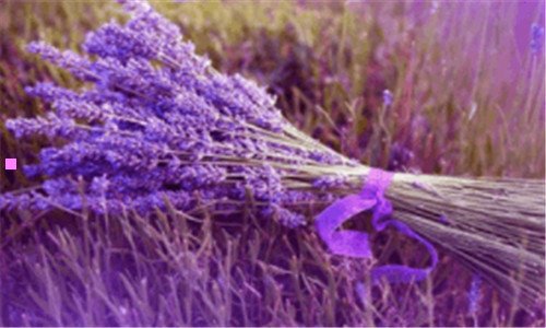 二雅兰仕和漫步者哪个好