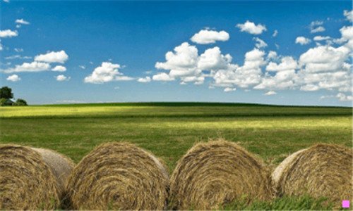 一北京欢乐谷地址