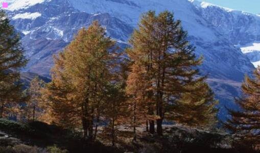 三移动通信第五版章坚武答案